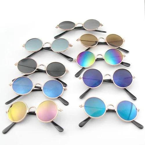 Stylish round sunglasses with colorful mirrored lenses, perfect for pet owners and fashion lovers.