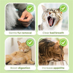 Cat care benefits: gentle fur removal, fresh breath, better digestion, increased appetite for healthy pets