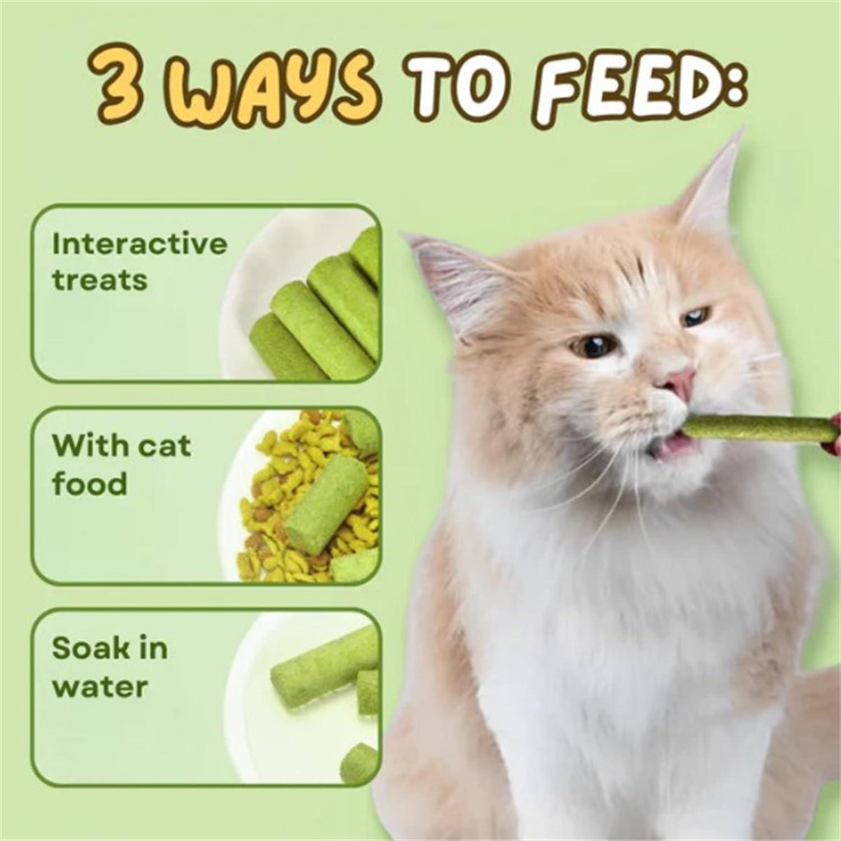 Cat eating green treat with 3 feeding ways: interactive, with food, or soaked in water