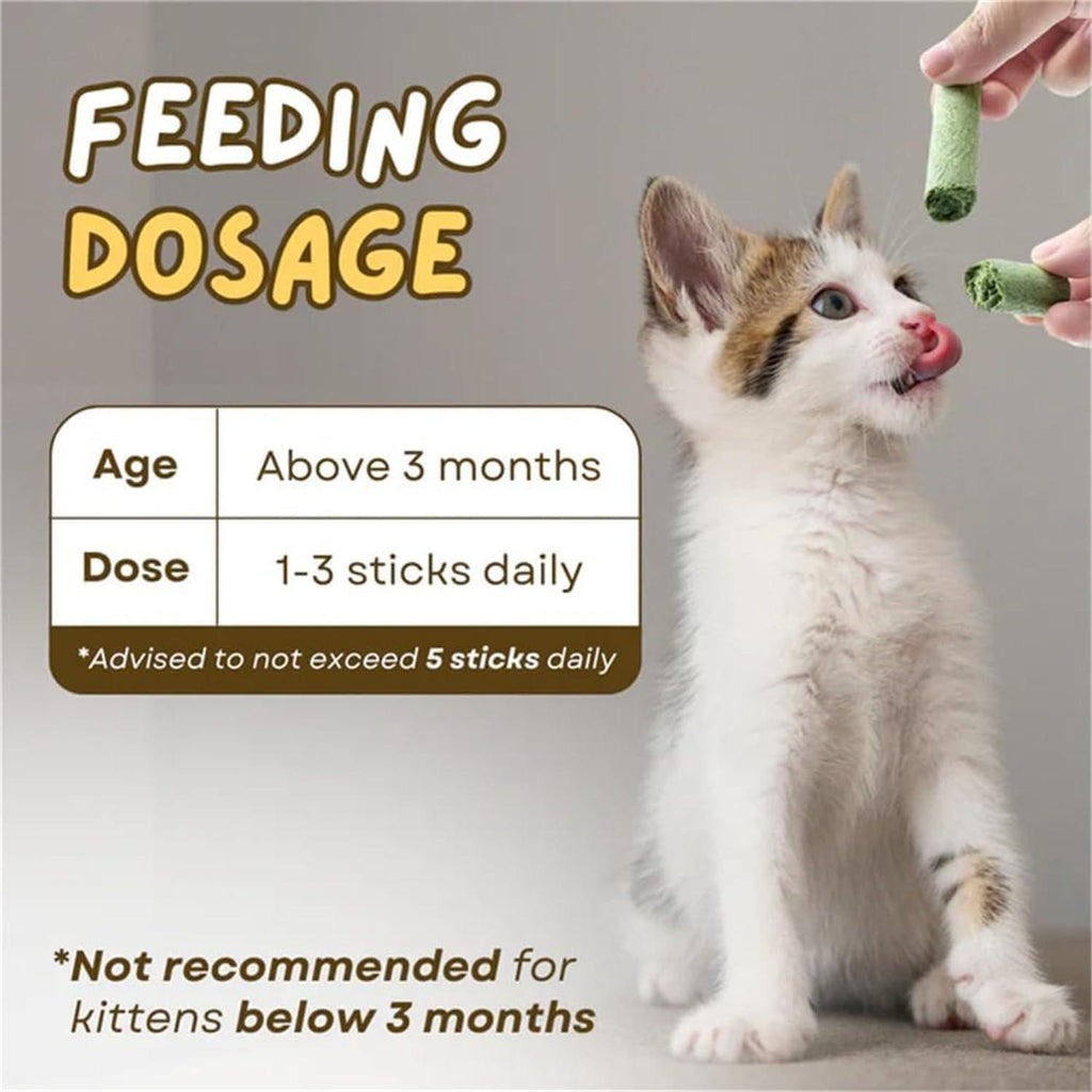 Kitten eating green cat treat sticks, feeding dosage guide for cats over 3 months, 1-3 sticks daily