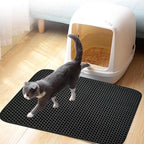 Gray cat walking on black litter mat near enclosed cat litter box on wooden floor
