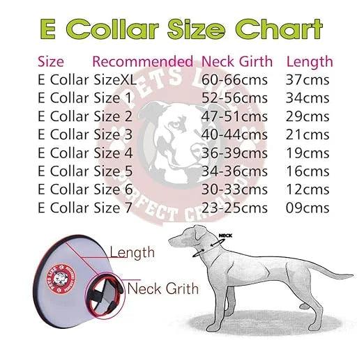 ecollar
