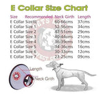 ecollar