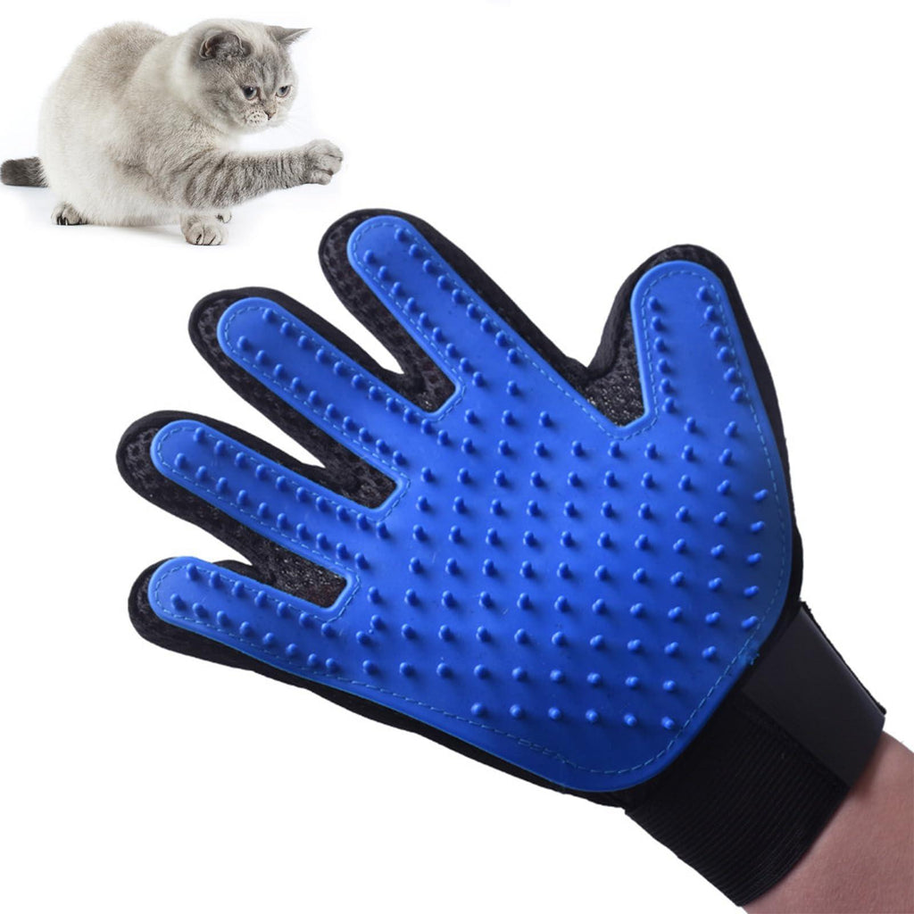 Blue pet grooming glove with silicone nodules for cats and dogs, shown with fluffy gray cat
