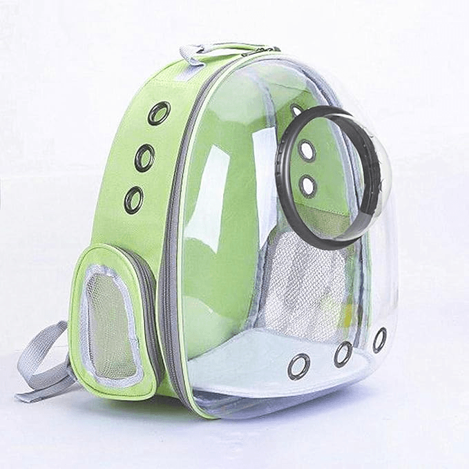 Green transparent pet carrier backpack with mesh windows and ventilation holes for cats or small dogs