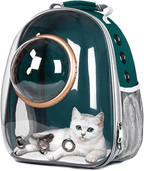 White kitten in green transparent pet carrier backpack with mesh sides and circular window