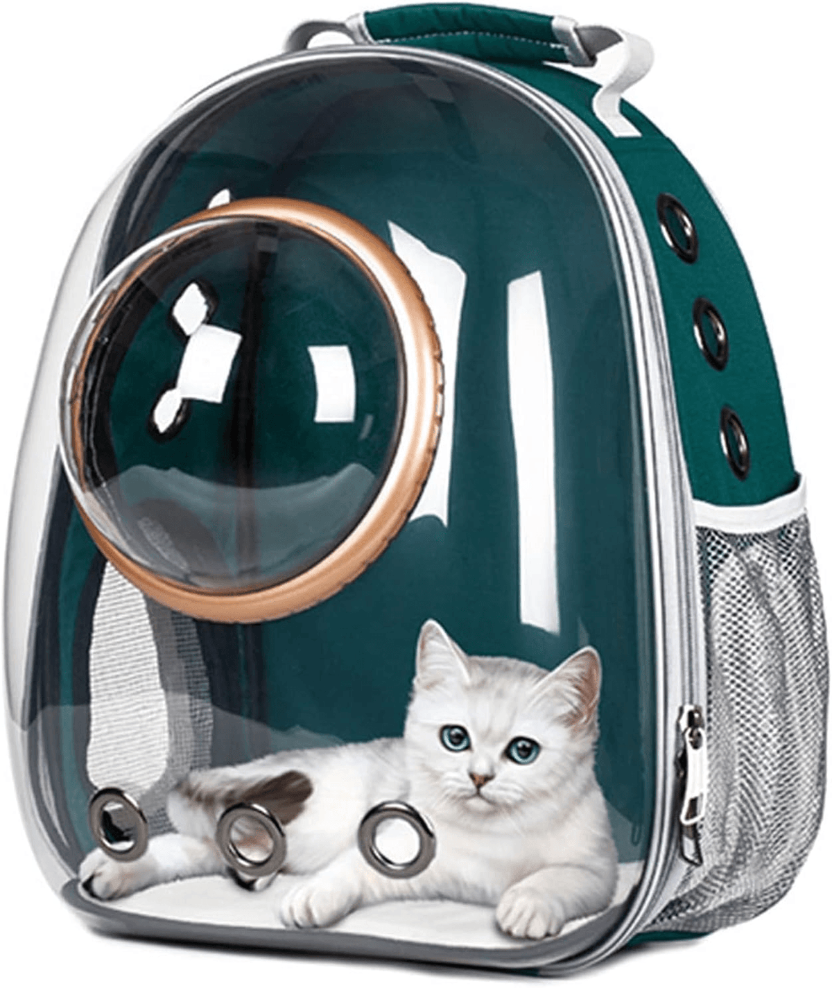 White kitten in green transparent pet carrier backpack with mesh sides and circular window