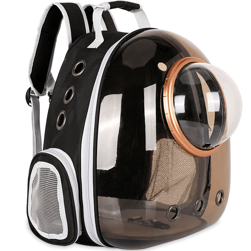 Black and clear pet carrier backpack with bubble window, mesh side pocket, and ventilation holes for cats or small dogs