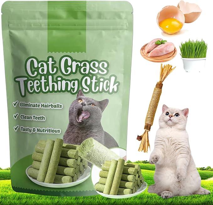 Cat grass teething sticks for hairball control, clean teeth, and nutrition — tasty, natural cat treats with chicken and egg ingredients