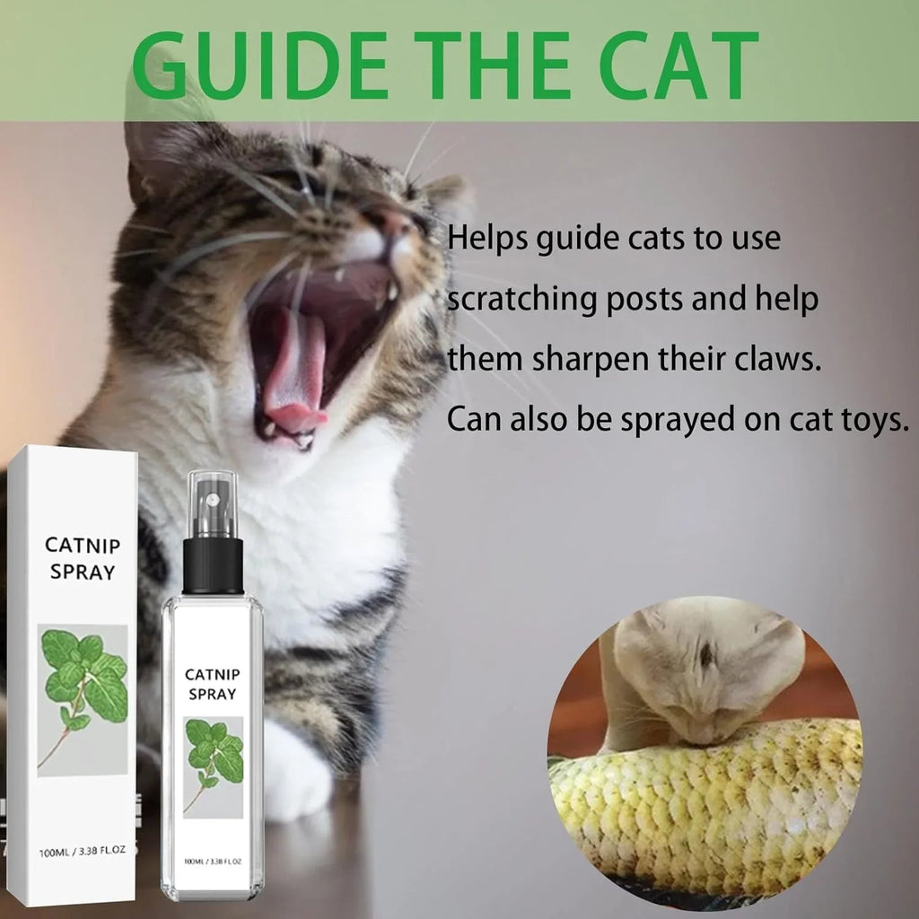 YegBong Catnip Spray/Cat Training Spray 100ml