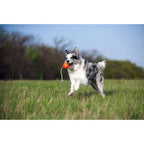 Dog Ball Toy Active Training LIKER Cord Soft Safe Foamed Polymer Non-toxic