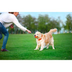 Dog Ball Toy Active Training LIKER Cord Soft Safe Foamed Polymer Non-toxic