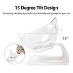 Elevated Cat Bowl, 15° Inclined Cat Double Bowl, Small Anti Spill Cat Food Bowl