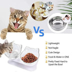 Elevated Cat Bowl, 15° Inclined Cat Double Bowl, Small Anti Spill Cat Food Bowl