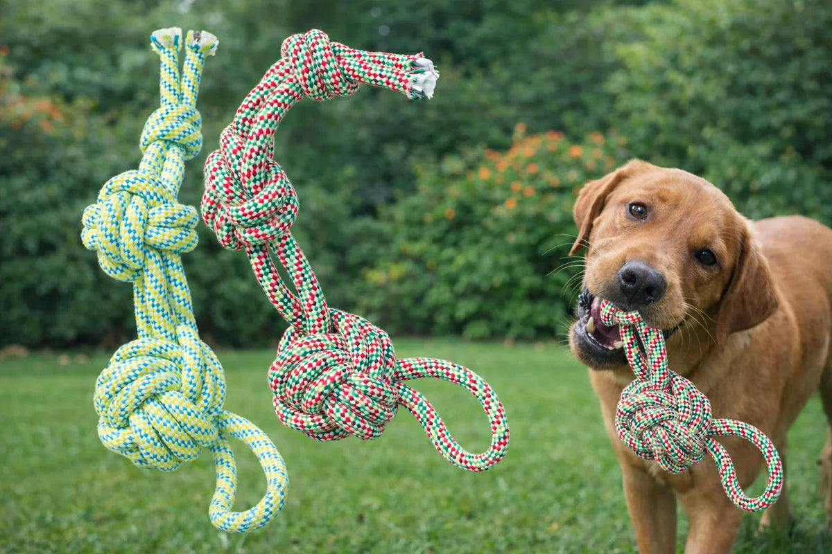 Knotted Rope Dog Toy (Durable and Interactive)