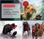 Linian 1 Pcs Dog Ball Rope Pet Rubber Chew Toy Ball with Rope, Interactive Rubber Ball for Catch, Throw(Red) 6.5cm