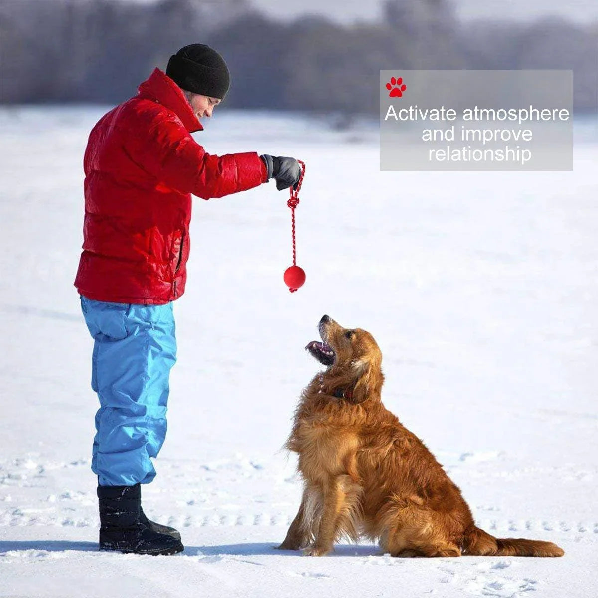 Linian 1 Pcs Dog Ball Rope Pet Rubber Chew Toy Ball with Rope, Interactive Rubber Ball for Catch, Throw(Red) 6.5cm