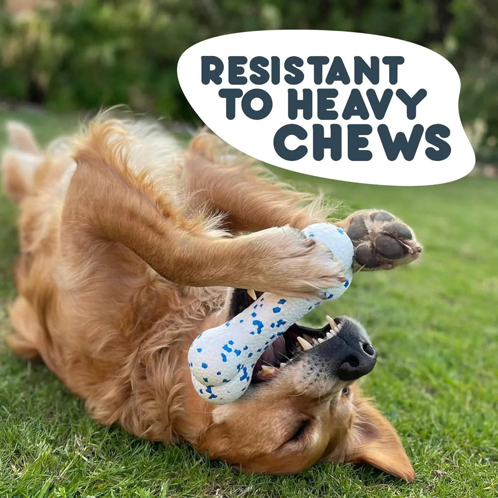 Petface Outdoor Paws Mighty Bone Dog Toy, Extra Strong (Pack of 1)