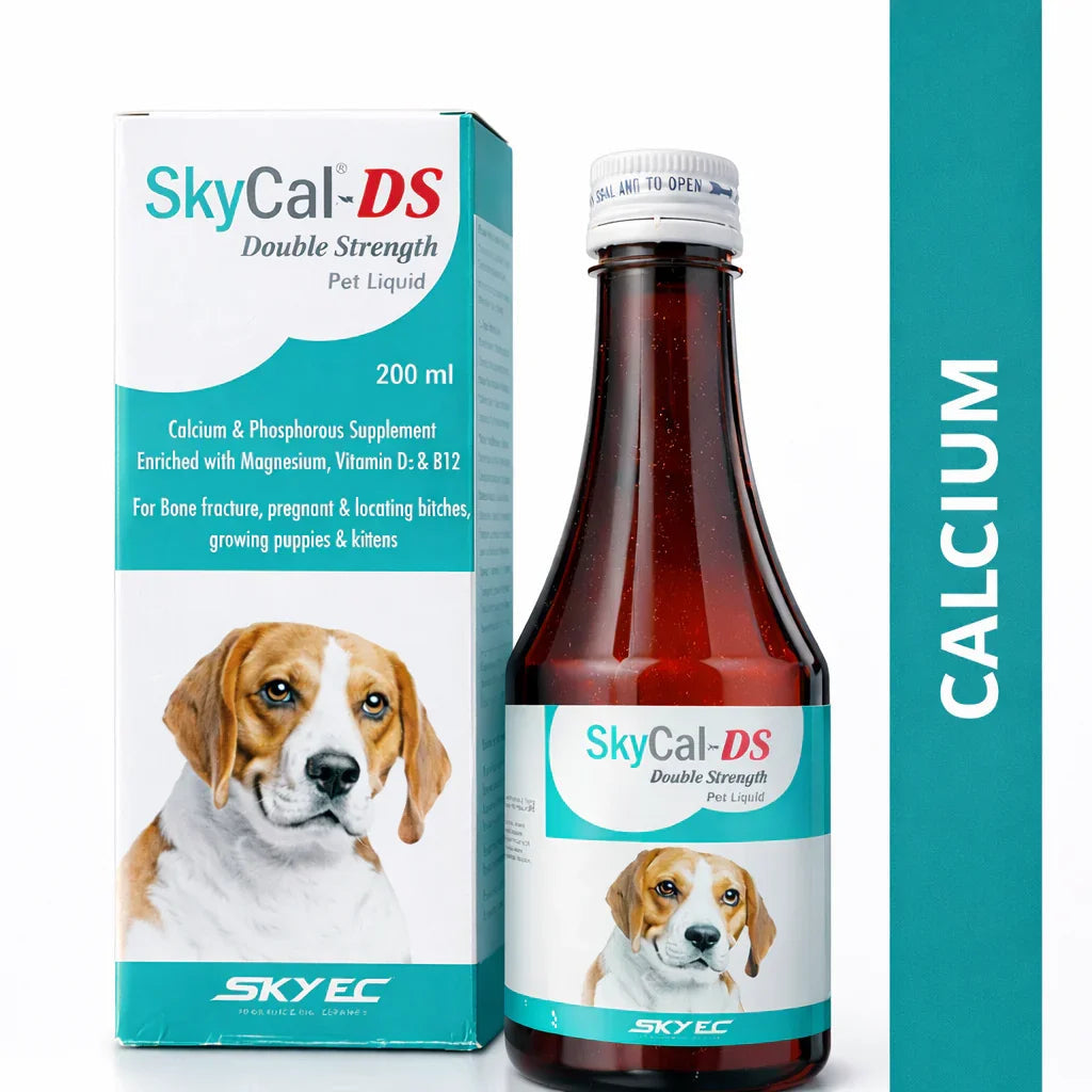 SKYCAL-DS Double Strength Pet Syrup -200ml
