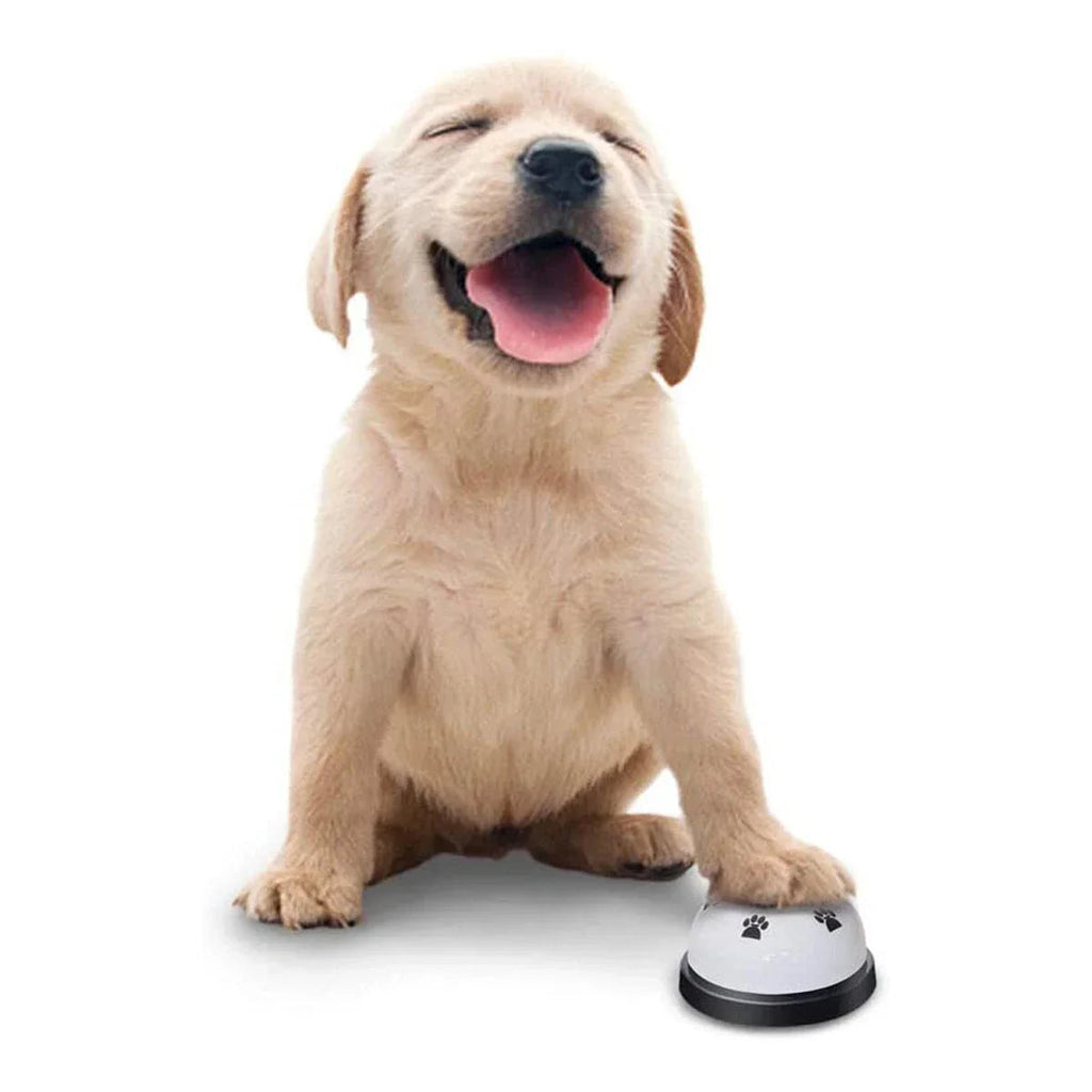 Cat Dog Feeding Dinner Bell Toy Pet Training Ring Bell Educational Toy Pet Training