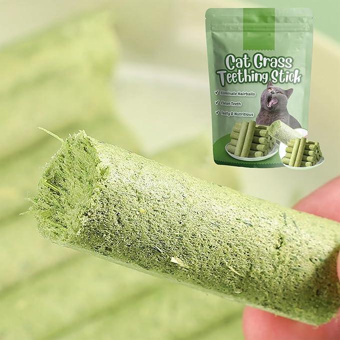 Green cat grass teething stick for healthy feline dental care and hairball relief