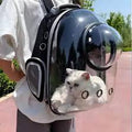 Black astronaut-style pet carrier backpack with clear dome, holding white cat outdoors