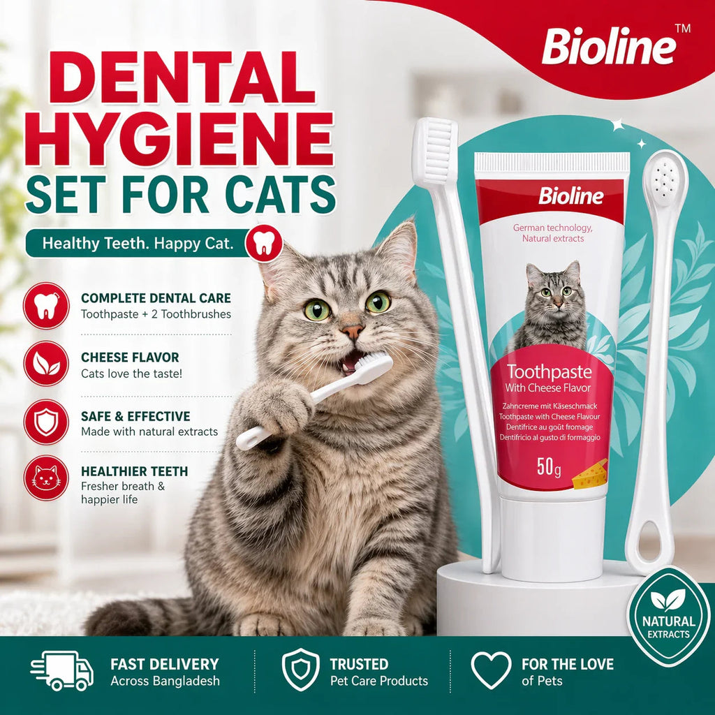 Bioline Dental Hygiene Set for Cats Toothpaste with Toothbrush 50g