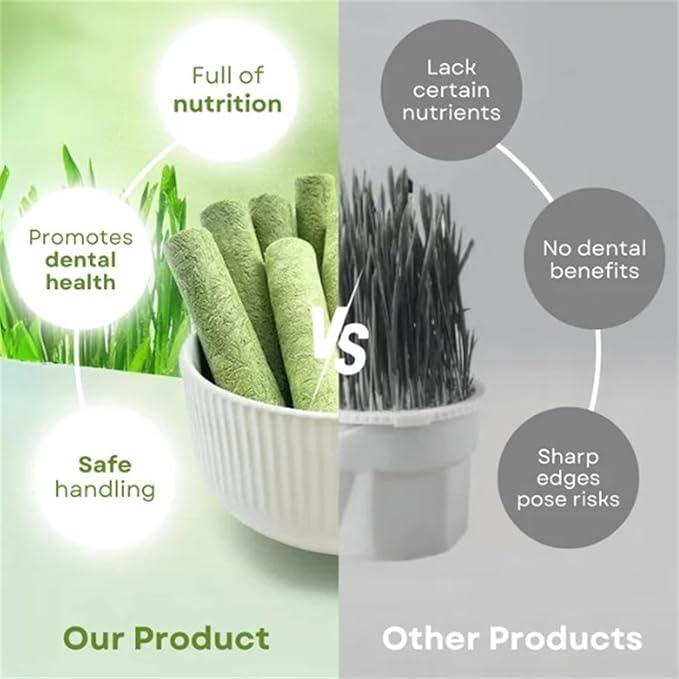 Premium pet treats vs. others: nutritious, safe, promotes dental health — ideal for cats and dogs.