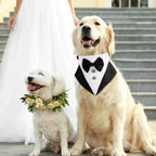 Medium Formal Dog Tuxedo Bandana Dog Wedding Bandana Dog Collar Tie with Bow Tie and Neck Tie Designs Adjustable Collar Formal Tux Dog Bowtie Adjustable Neckerchief