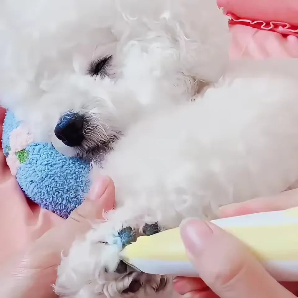 Professional Rechargeable Dog Cat Electric Paw Clippers Low Noise Pet Paw Hair Trimmer